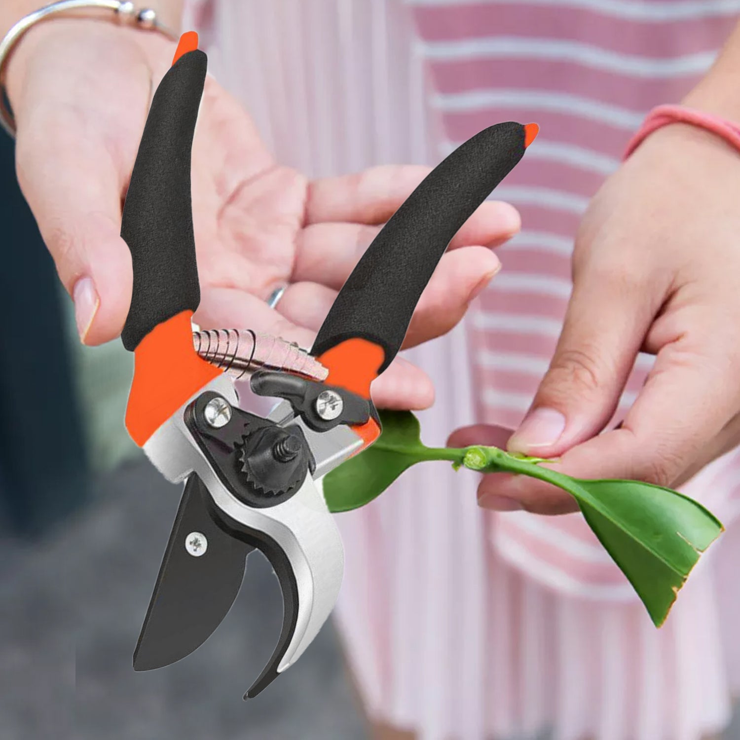 479 Garden Shears Sharp Cutter Pruners Scissor, Pruner 